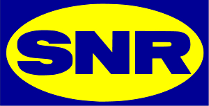 SNR rulman